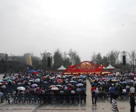 成都分会场获“太阳神鸟”银奖